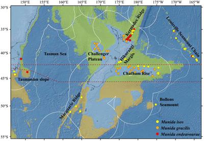 Population Structure and Genetic Connectivity of Squat Lobsters (Munida Leach, 1820) Associated With Vulnerable Marine Ecosystems in the Southwest Pacific Ocean